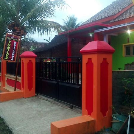 Yunior Guesthouse Tamansuruh Exterior foto